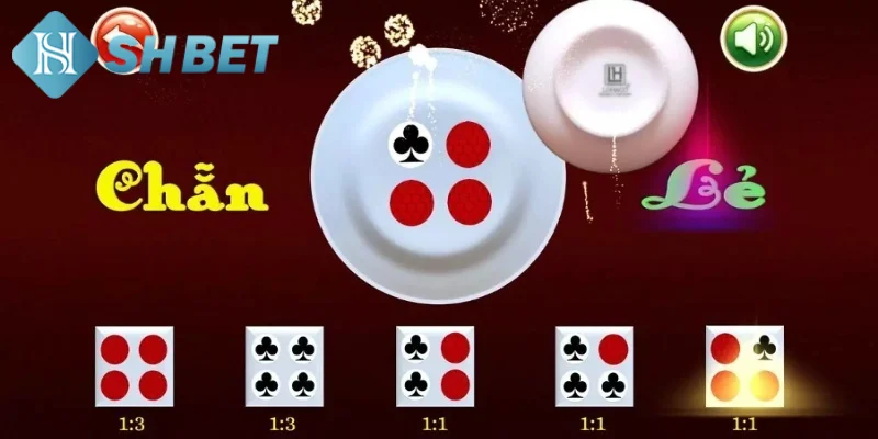 Cách xóc đĩa bệt từ chuyên gia giúp đạt hiệu quả cao