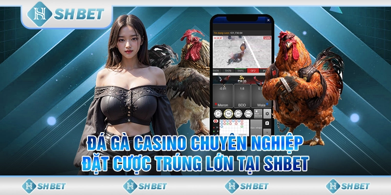 Đá Gà Casino Chuyên Nghiệp - Đặt Cược Trúng Lớn Tại SHBET