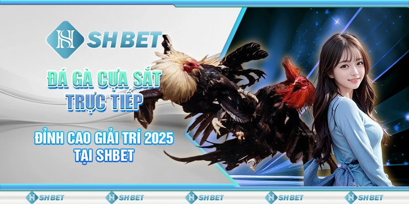 Đá Gà Cựa Sắt Trực Tiếp - Đỉnh Cao Giải Trí 2025 Tại SHBET