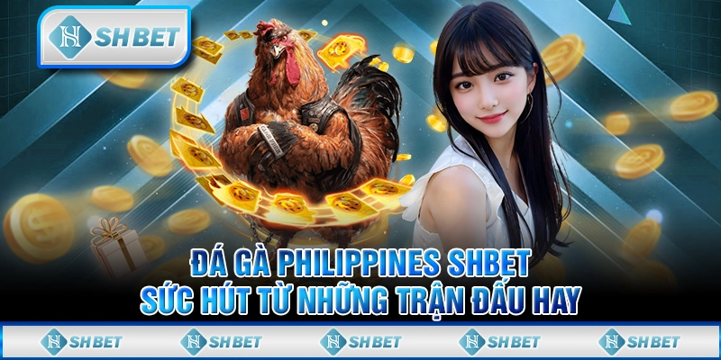Đá Gà Philippines SHBET - Sức Hút Từ Những Trận Đấu Hay