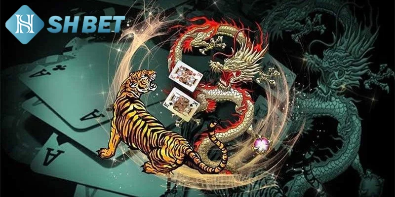 Quy luật chơi game bài rồng hổ chi tiết cho thành viên mới