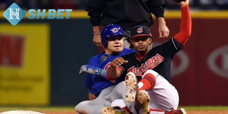 Các tin tức bên lề khác tại giải bóng chày MLB