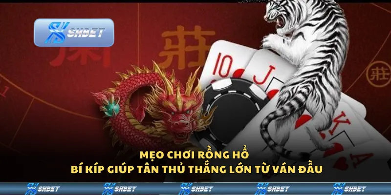 Mẹo chơi Rồng Hổ – Bí kíp giúp tân thủ thắng lớn từ ván đầu